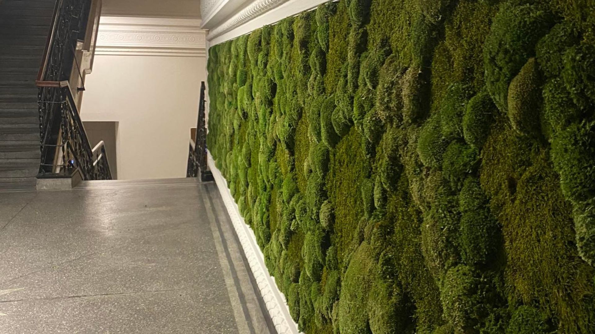 Ściana z mchu - przykład