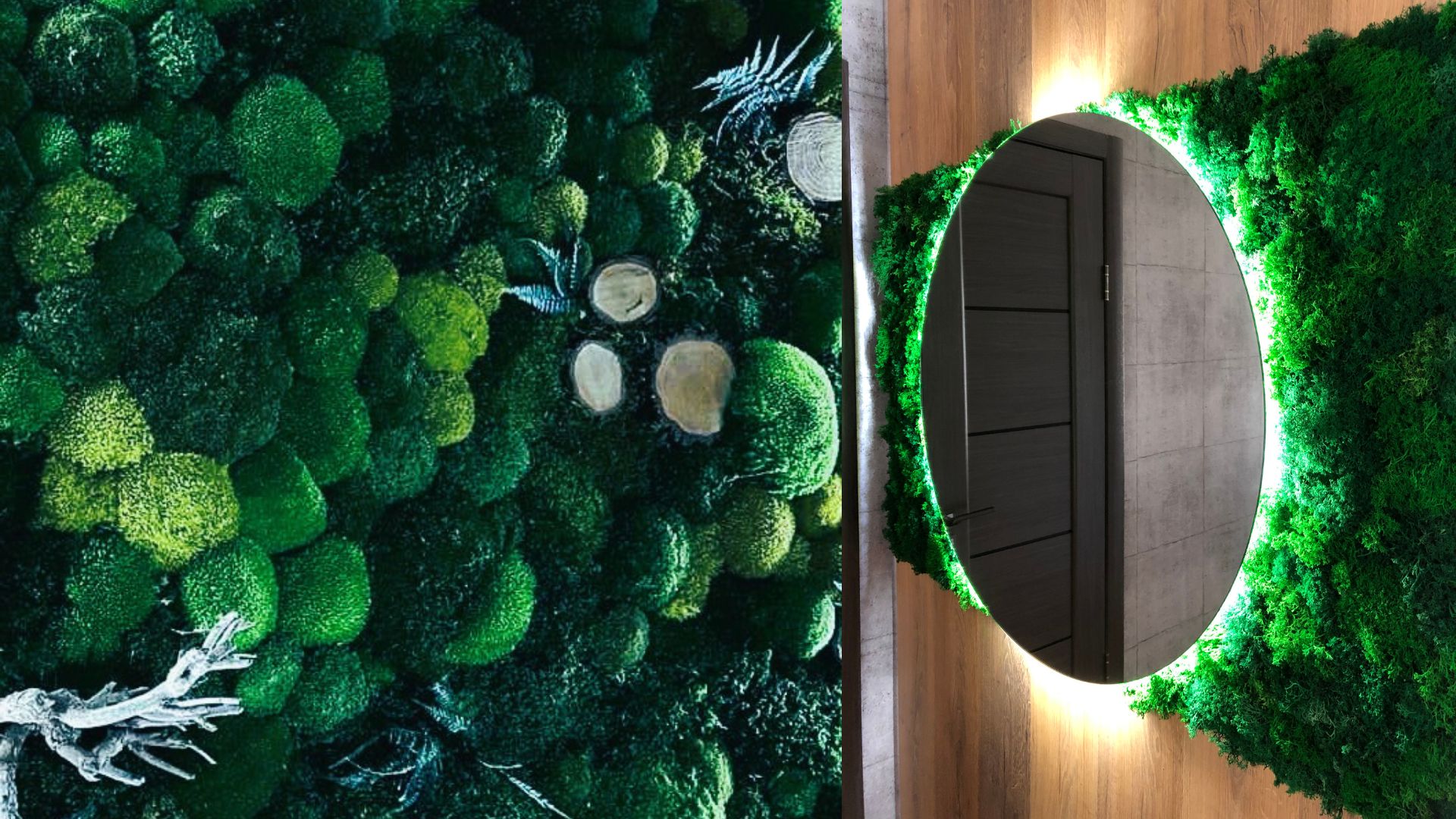 Dekoracja z mchu - realizacja