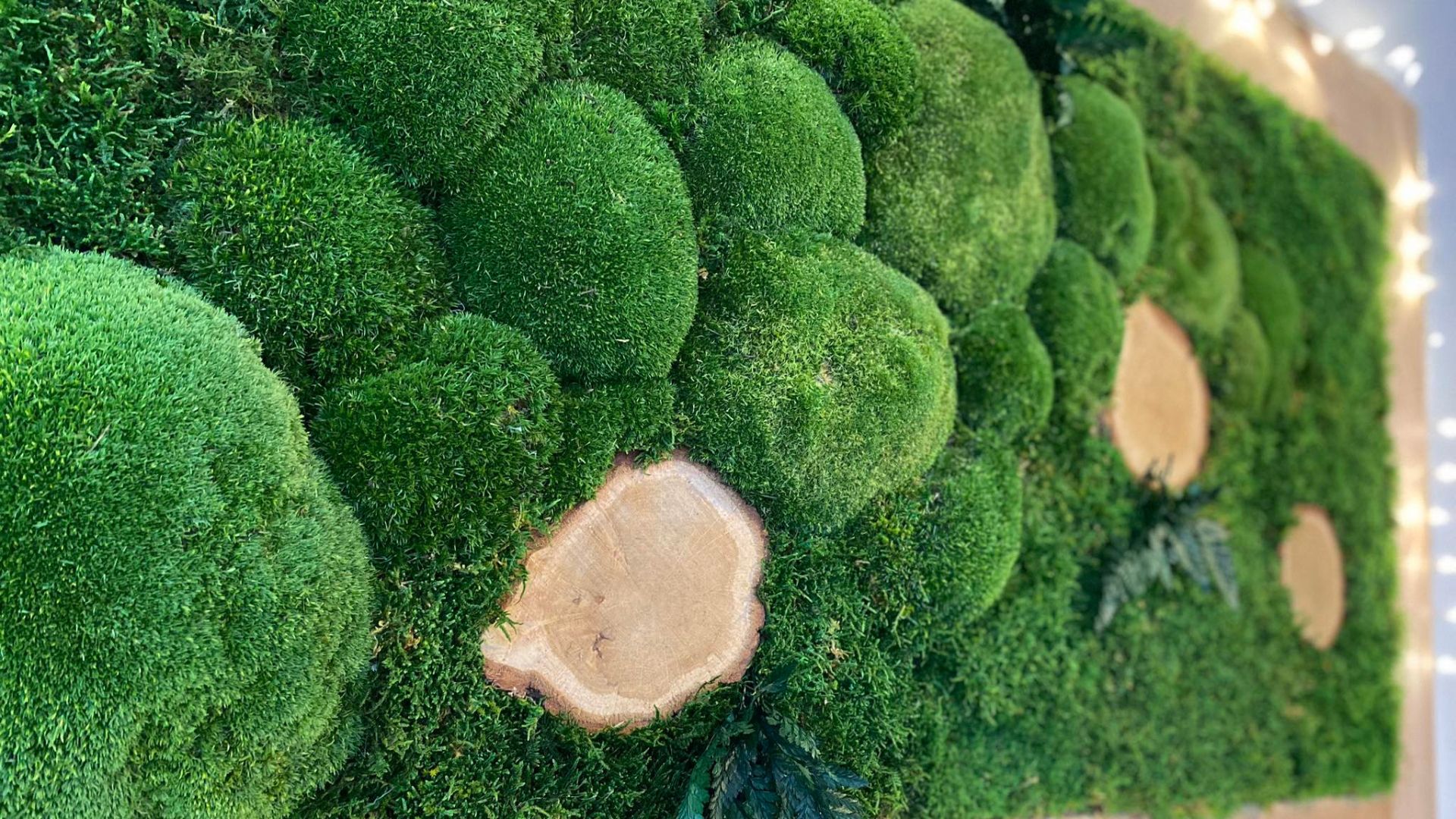 Ściana z mchu - kompozycja