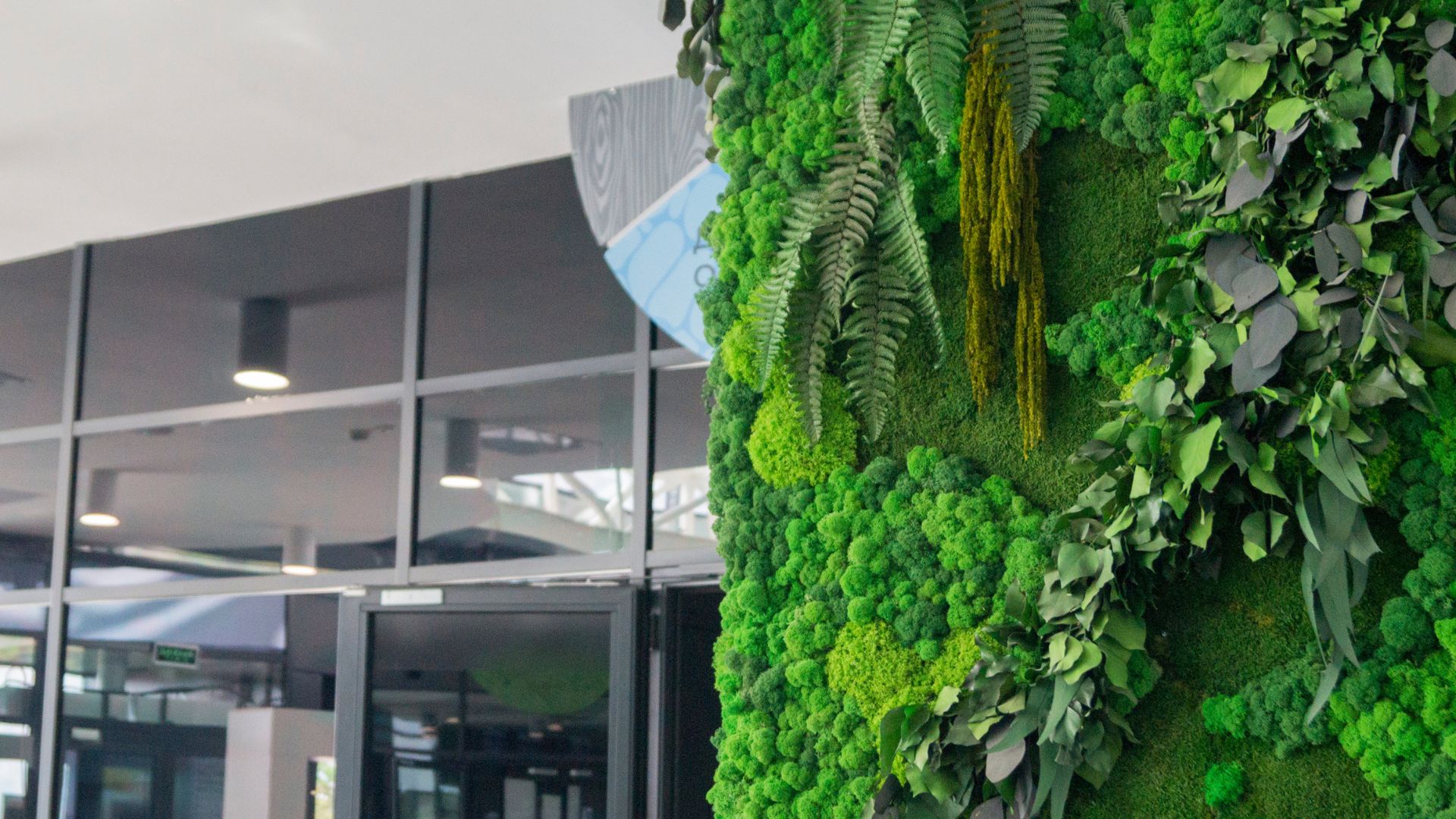 Dekoracja z mchu - przykład