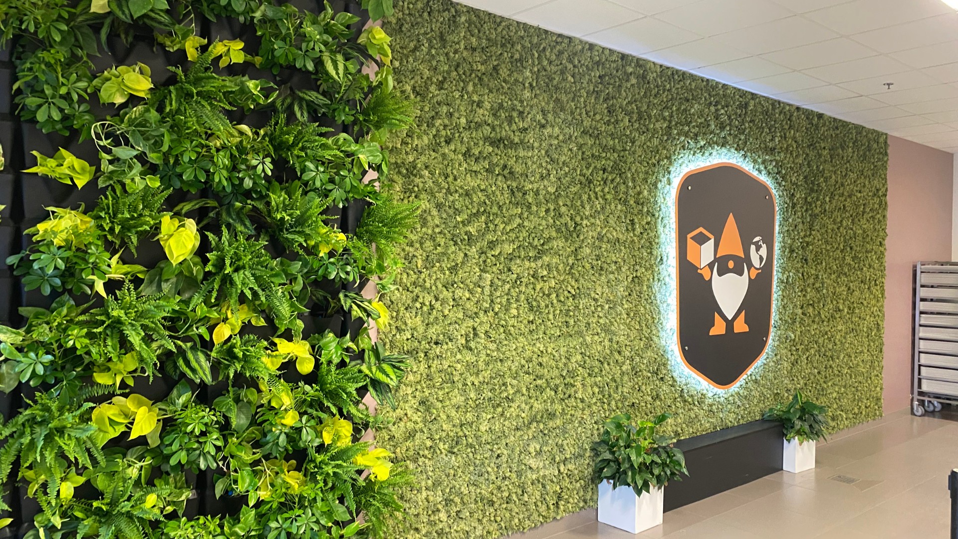 Kompozycja zielona dla klienta indywidualnego Tychy - nowoczesny design