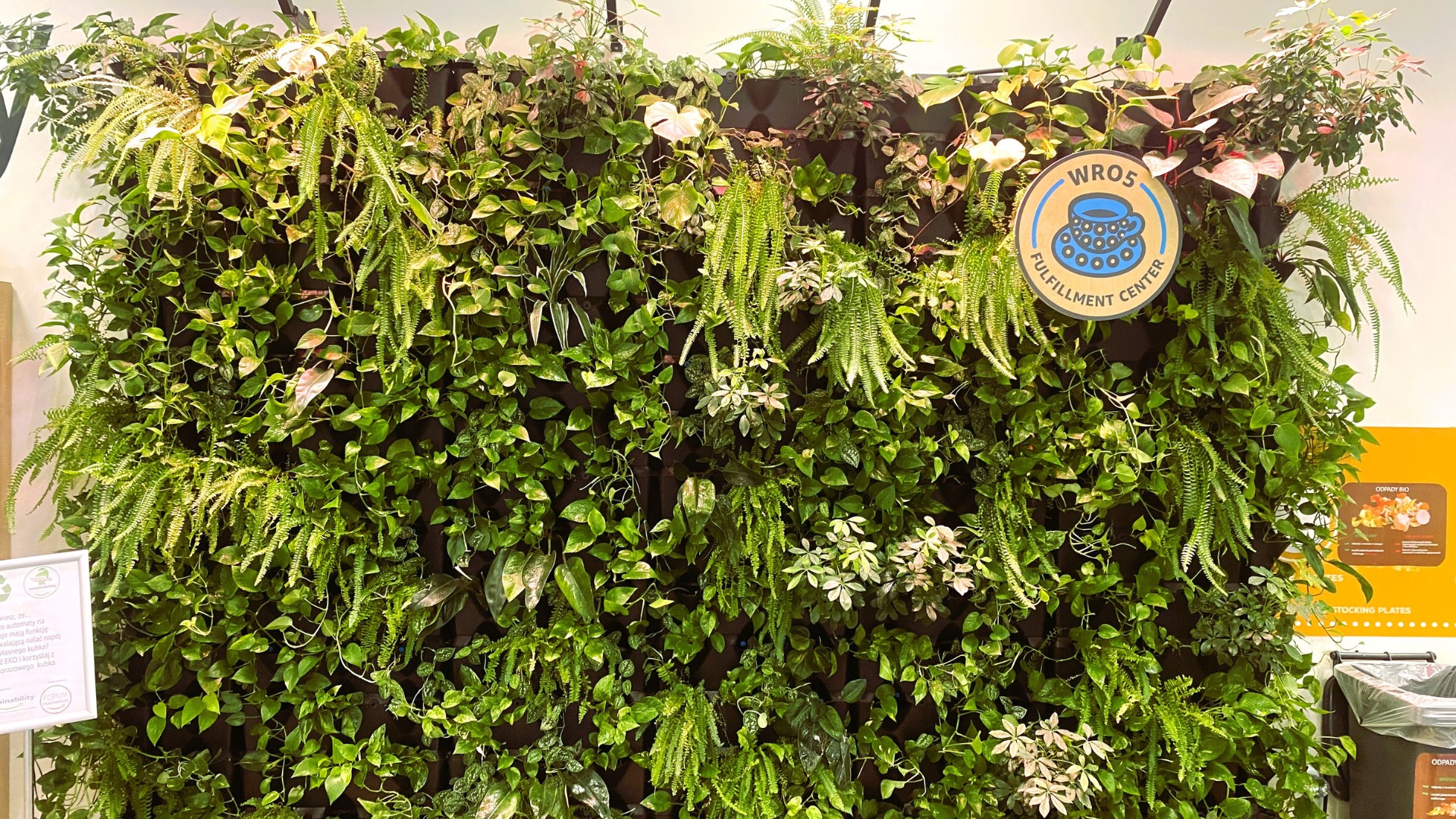 Ogród wertykalny Amazon Wrocław - nowoczesne rozwiązanie biurowe