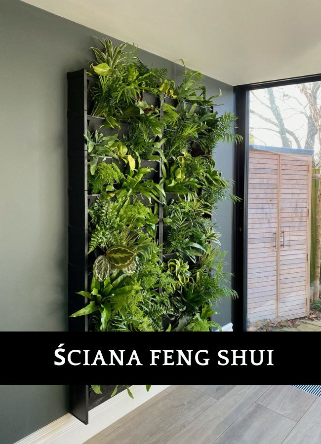 Ogród wertykalny Amazon KTW4 Sosnowiec - nowoczesne biuro z zieloną ścianą