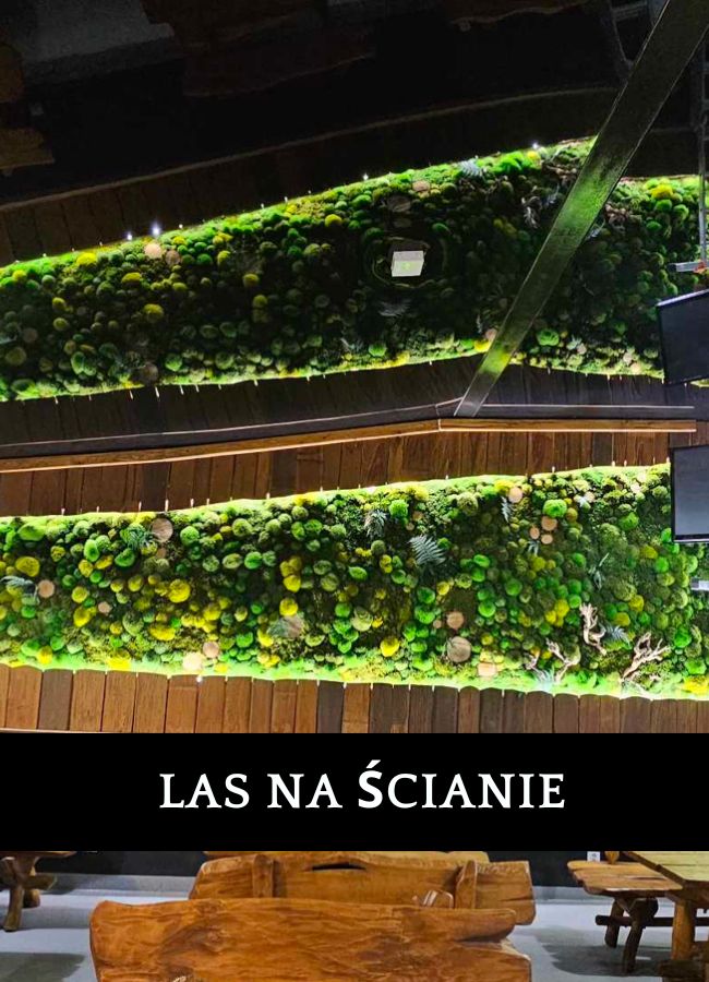 Ściana wertykalna Amazon Wrocław - nowoczesne rozwiązanie biurowe