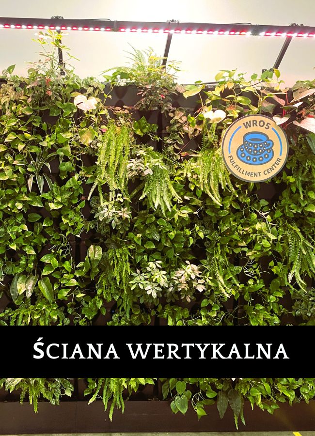 Ogród wertykalny Amazon POZ2 Poznań - biurowe rozwiązanie z roślinami