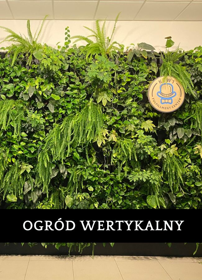 Kompozycja z mchu Urzędu Marszałkowskiego Katowice - elegancka dekoracja