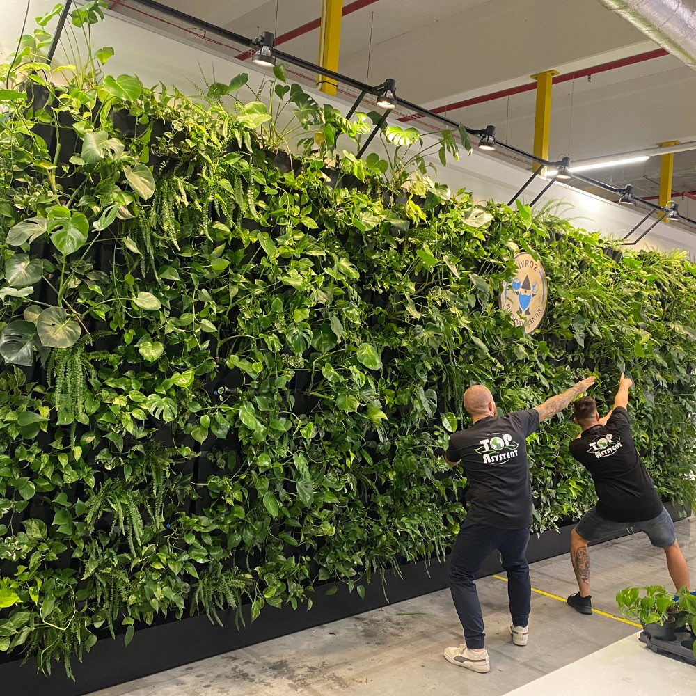 Opieka nad ogrodami - realizacja