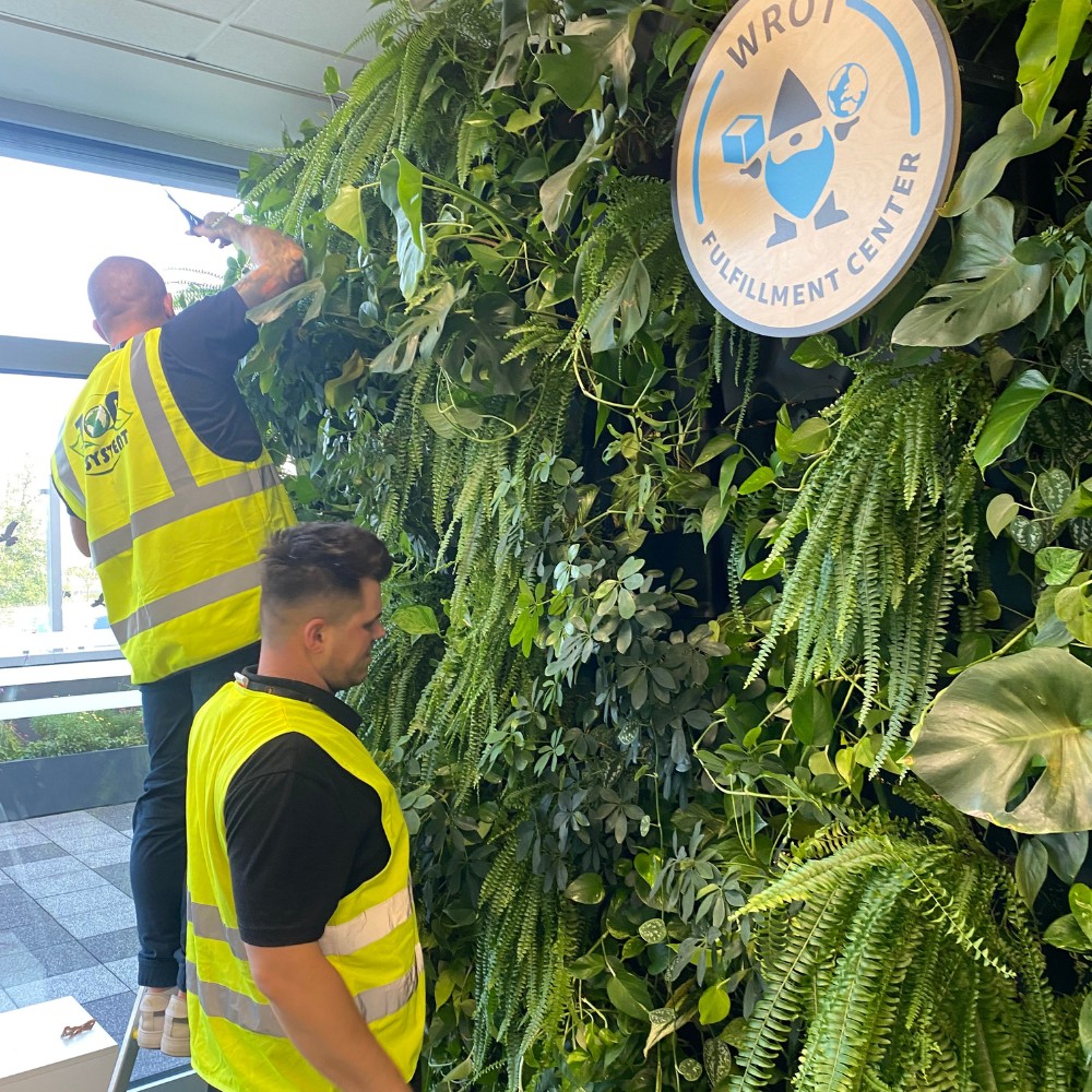 Pielęgnacja roślin wertykalnych